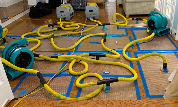 Professional Flood Damage Restoration technician working in Docena, AL